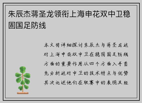 朱辰杰蒋圣龙领衔上海申花双中卫稳固国足防线